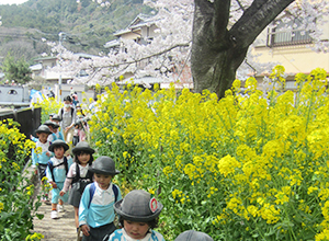 4月：お花見遠足1